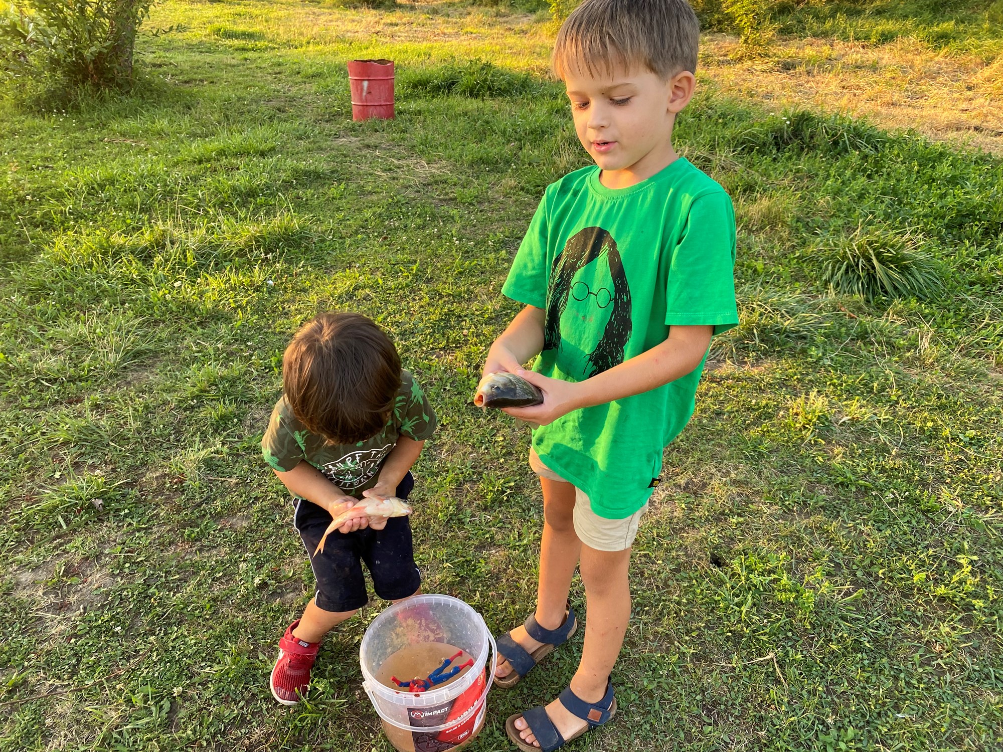 Zaganu 1 - 8 aug. - 35FD8FCBD40E4757B719FA2C17B67637.jpg